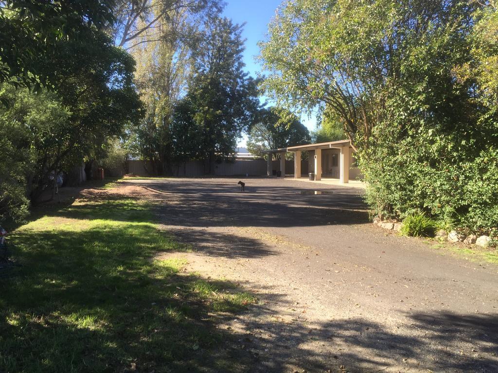 וודונגה Murray Valley Motel מראה חיצוני תמונה